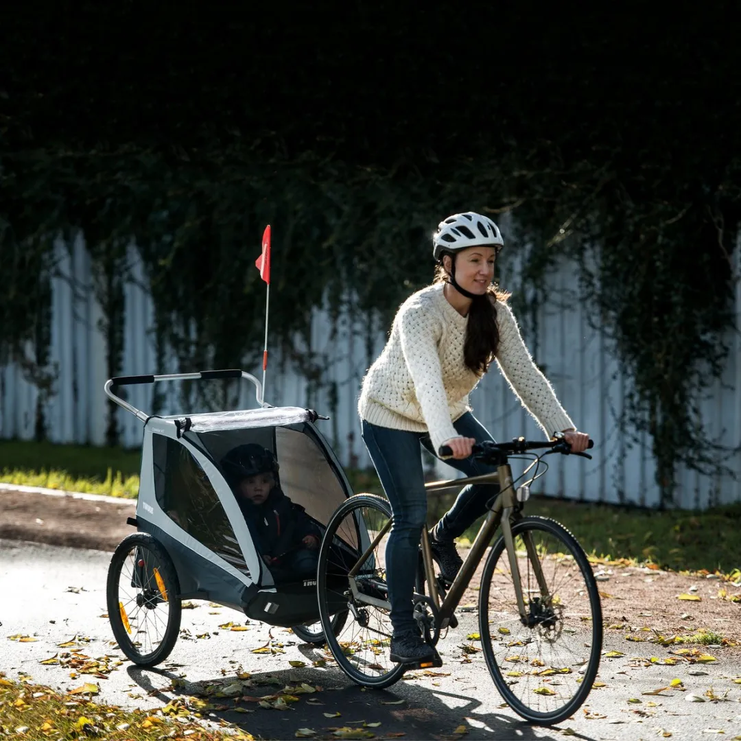 Thule Coaster XT Fietskar - Blauw - Max 45 kg