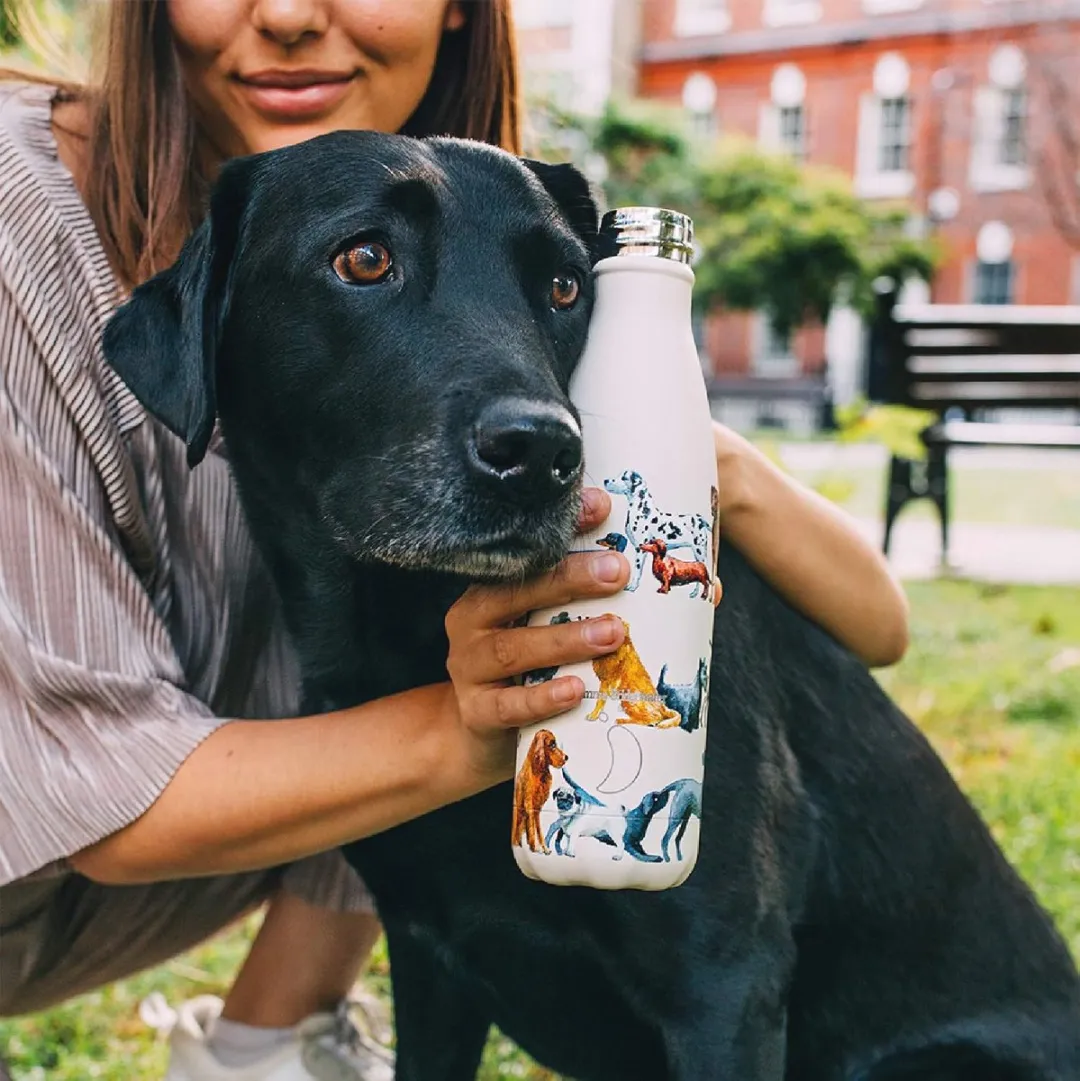 Chillys Herbruikbare Waterfles 500ml - Zwart