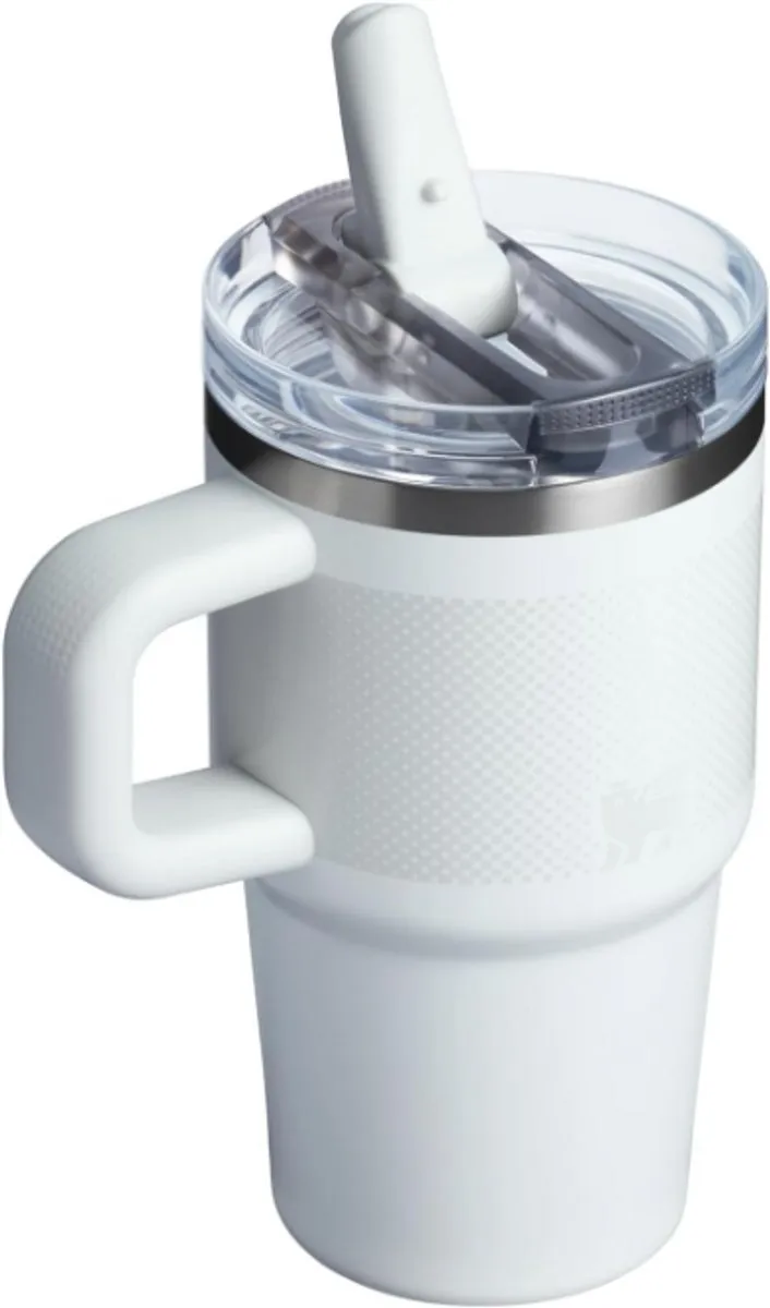 Stanley Quencher ProTour Flip Straw Tumbler 590ml - Frost Fade
