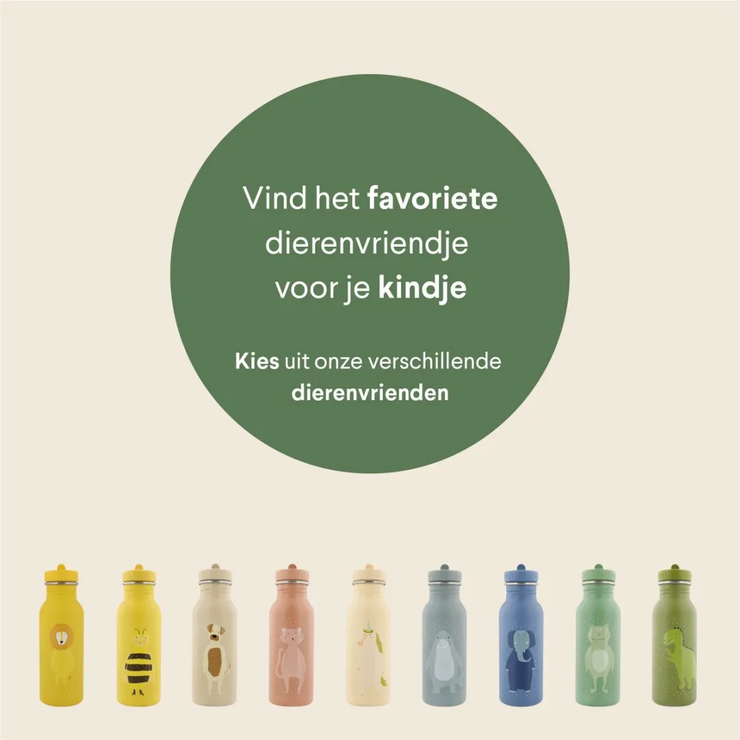 Trixie Mr. Dino RVS Waterfles 500ml - Groen