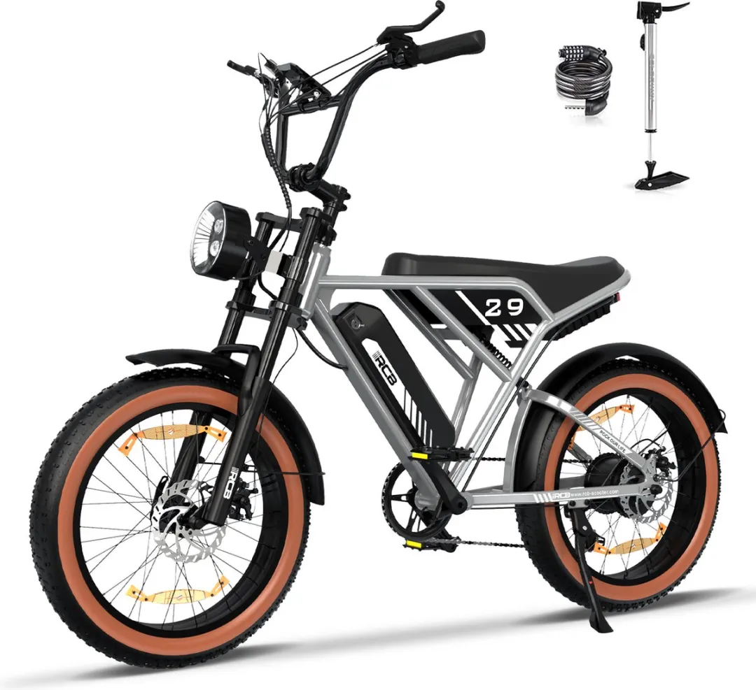 RCB RK29 Elektrische Fatbike 20" - 70 km bereik - 25 km/u - Zilver