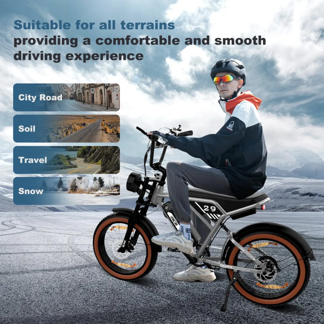 RCB RK29 Elektrische Fatbike 20" - 70 km bereik - 25 km/u - Zilver