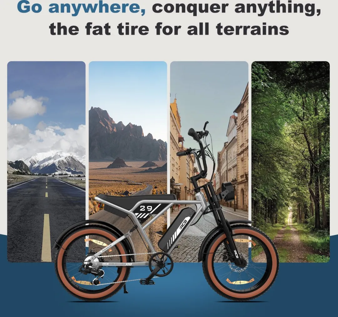 RCB RK29 Elektrische Fatbike 20" - 70 km bereik - 25 km/u - Zilver - afbeelding 6 van 6