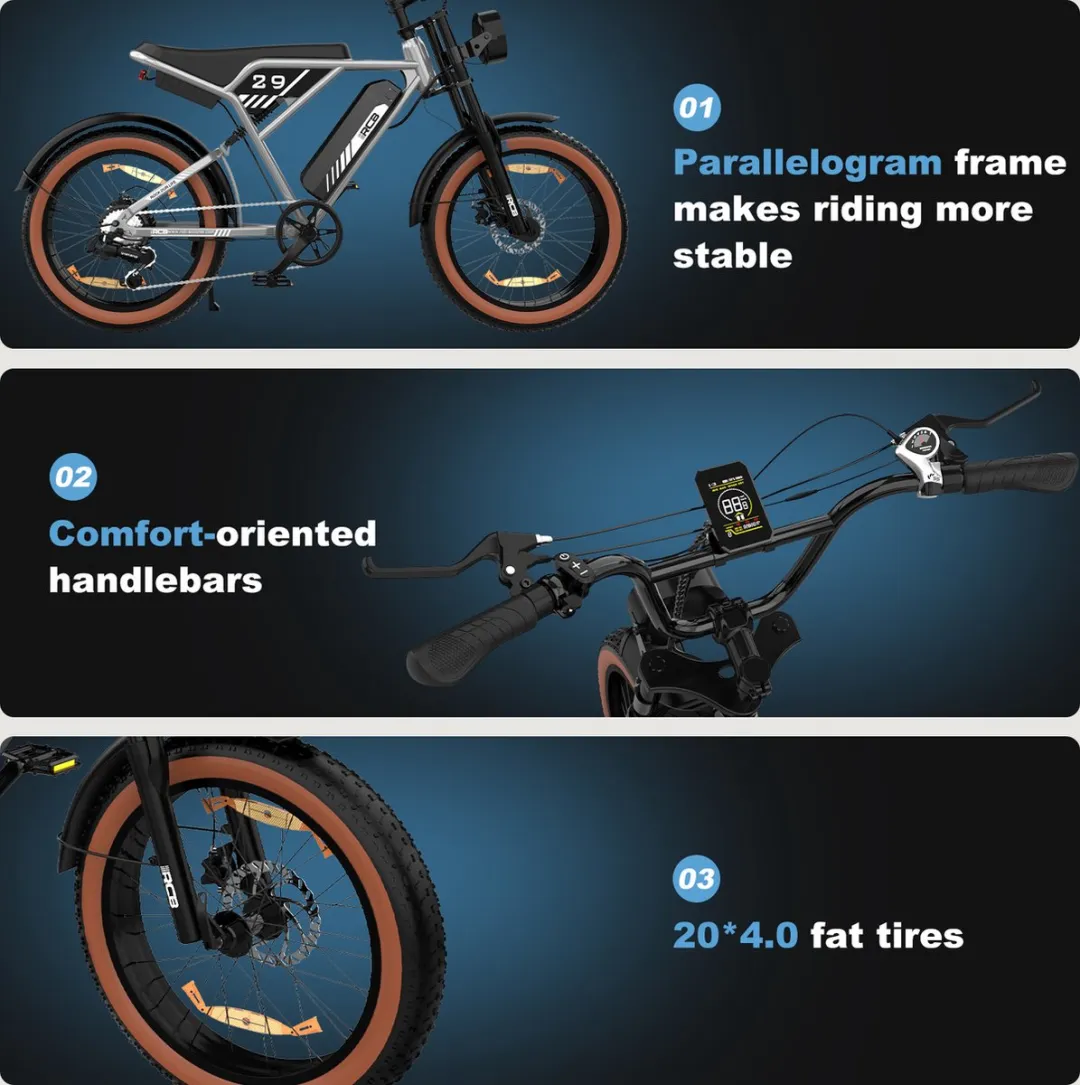 RCB RK29 Elektrische Fatbike 20" - 70 km bereik - 25 km/u - Zilver