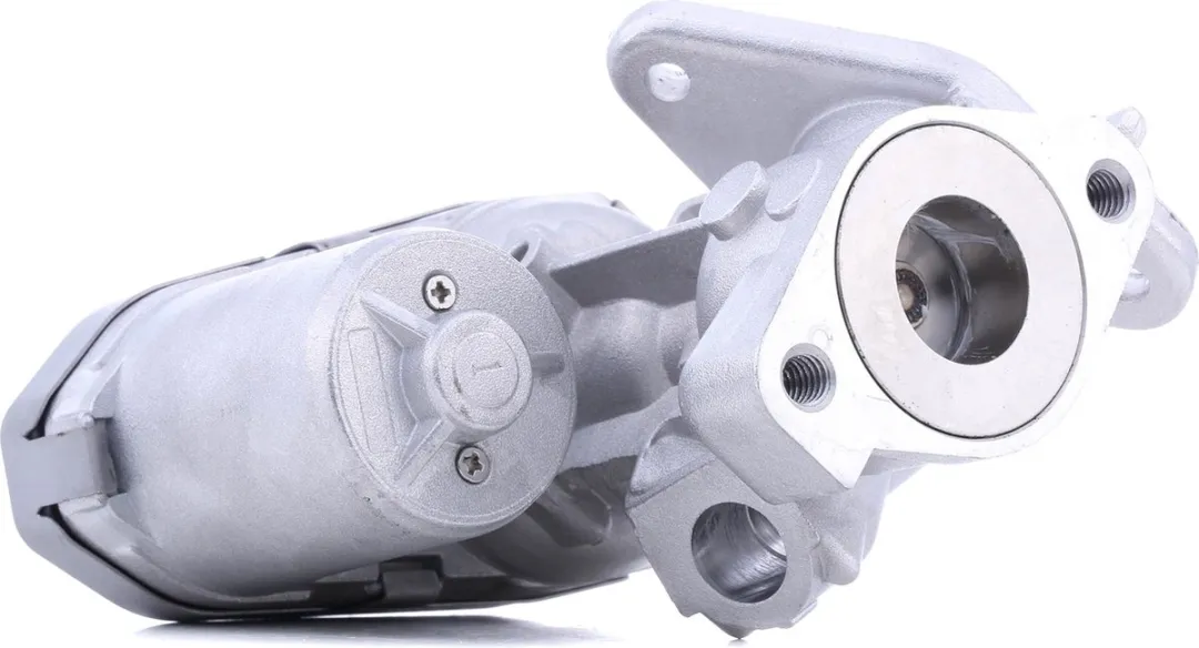 Hella 6NU 010 171-461 EGR-klep