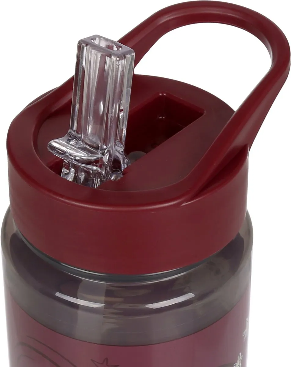 Harry Potter Hedwig Waterfles 500ml - Bordeaux