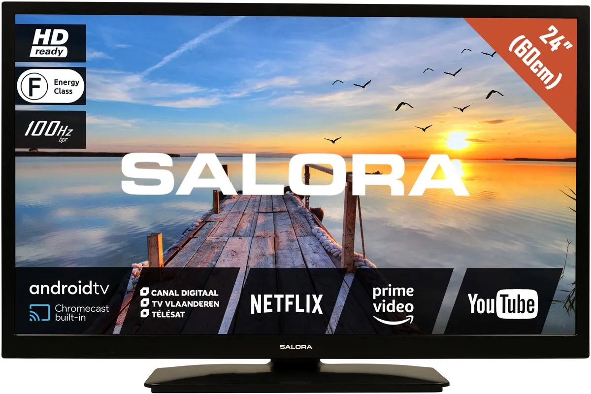 Salora MOBILE24TV 24 Inch Smart TV