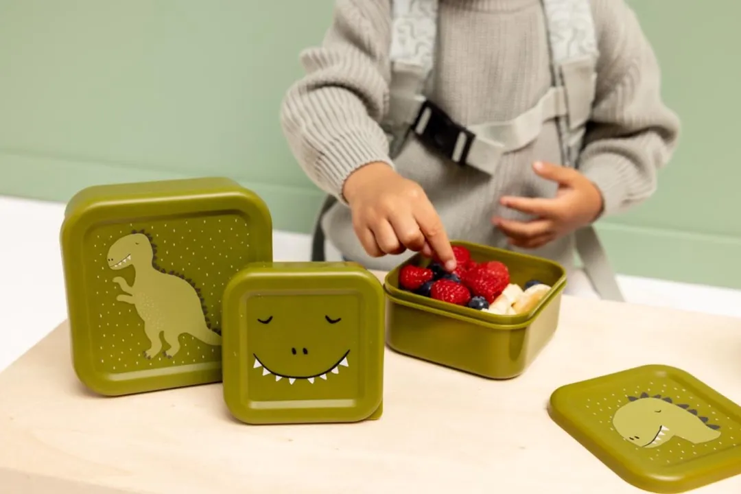 Trixie Schoolset Mr. Dino - Drinkfles & Snackbox 0.35l