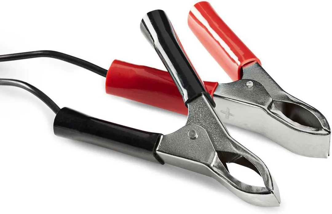 Nedis Loodzuuraccu Lader 13.8V DC 0.6A - Druppelladen - Zwart