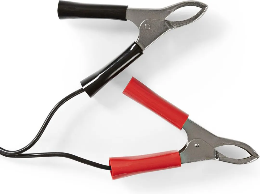 Nedis Loodzuuraccu Lader 13.8V DC 0.6A - Druppelladen - Zwart