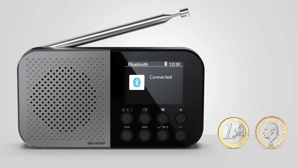 Sharp DR-P520(GY) DAB+/FM Radio - Grijs