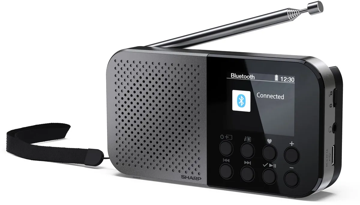 Sharp DR-P520(GY) DAB+/FM Radio - Grijs