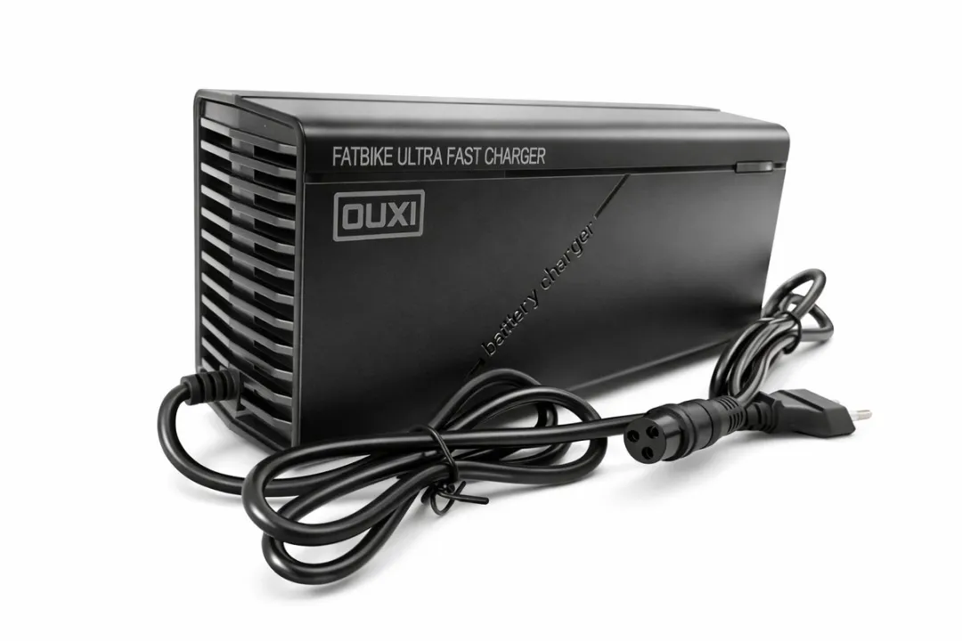 OUXI Ultra Snelle Fatbike Lader 48V 5A GX16