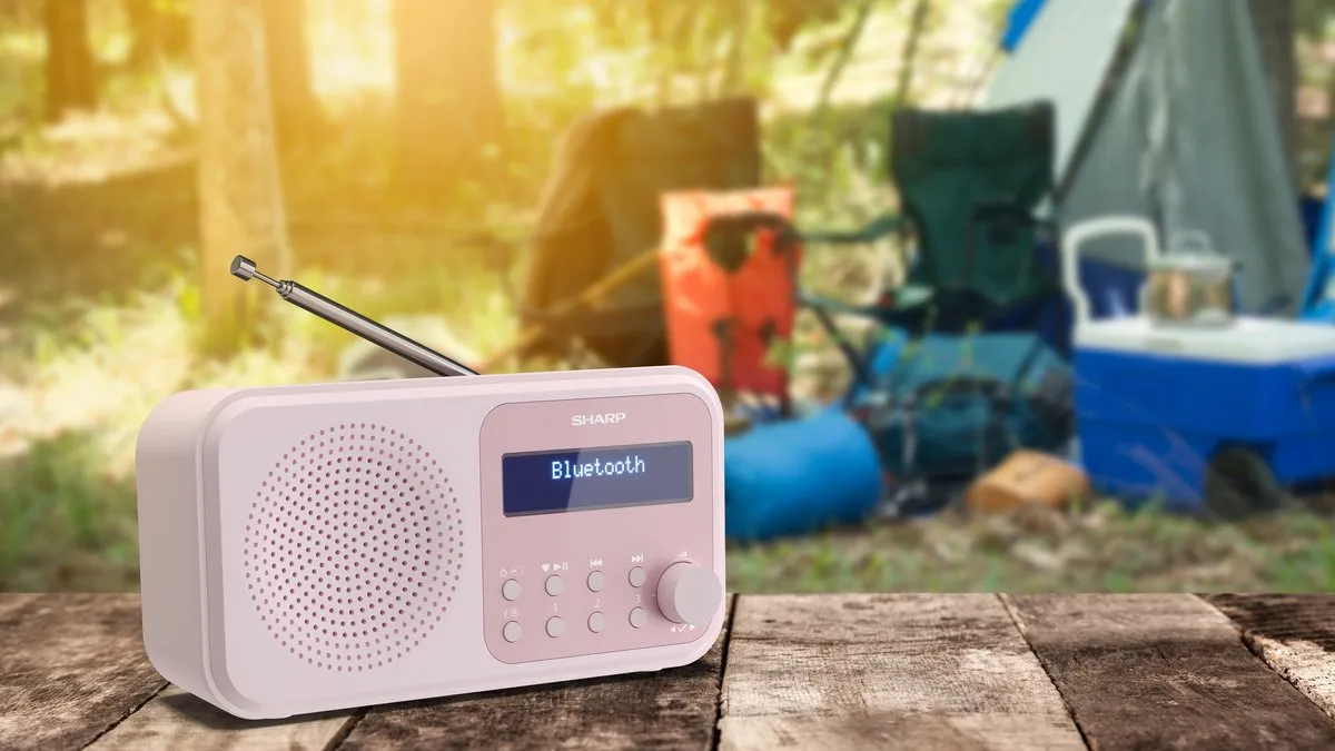 Sharp DR-P420PK DAB/FM Radio - Roze