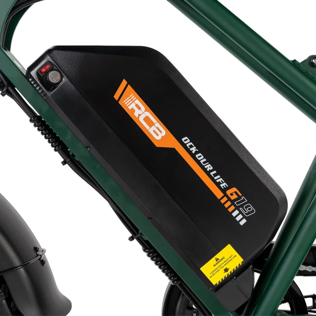 RCB Elektrische Fatbike 20.8Ah 250W - 7 Versnellingen - 100km Actieradius - Donkergroen