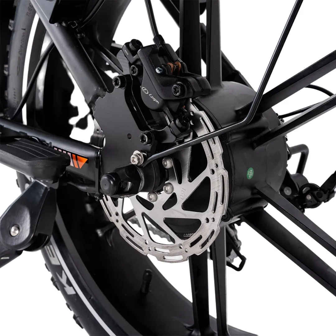 RCB Elektrische Fatbike 20.8Ah 250W - 7 Versnellingen - 100km Actieradius - Donkergroen