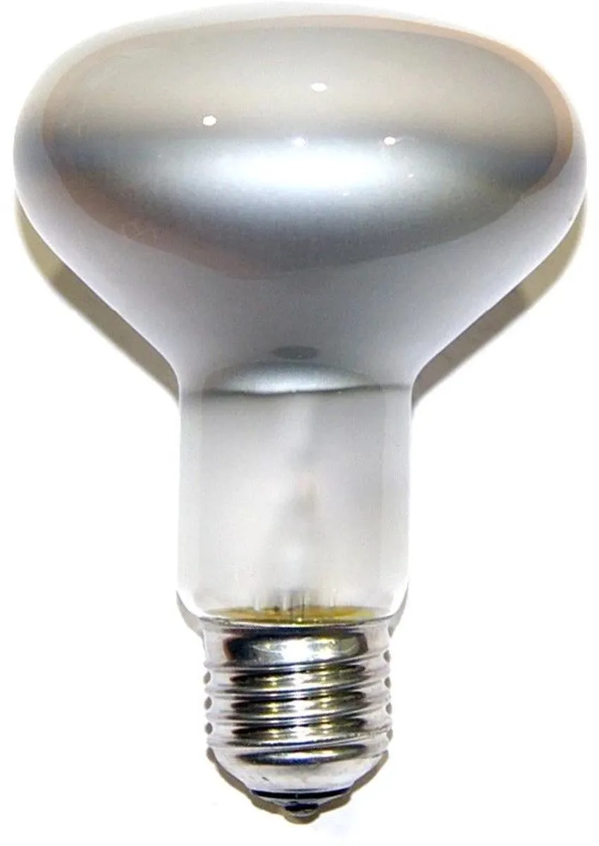 Philips Spotline Reflector R95 100W E27