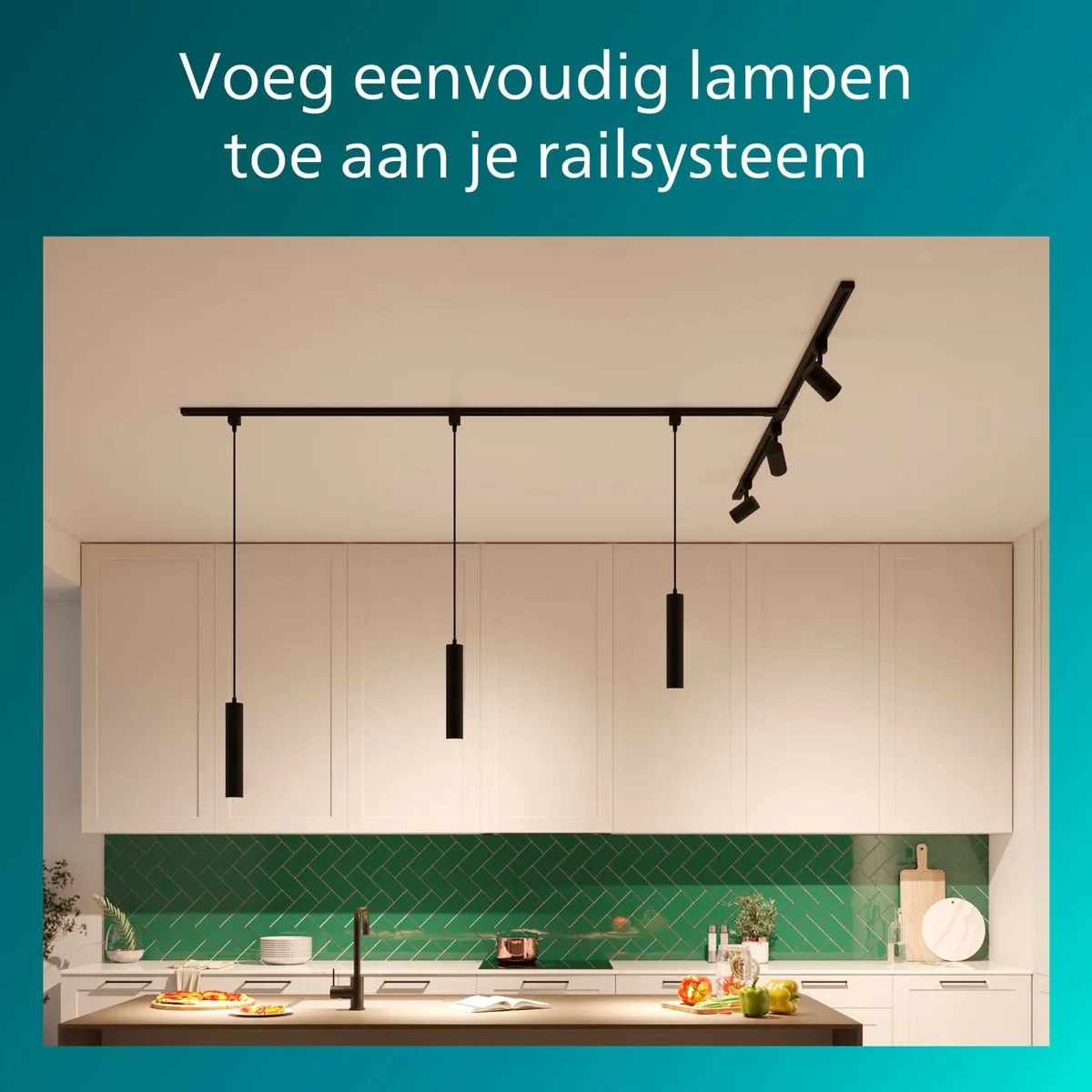 Philips EasyLink Railverlichting 1m - Zwart