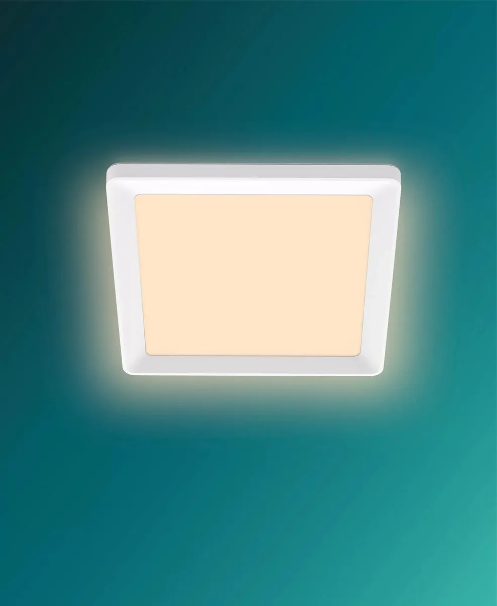 Philips SceneSwitch LED-paneel 12W Warmwit
