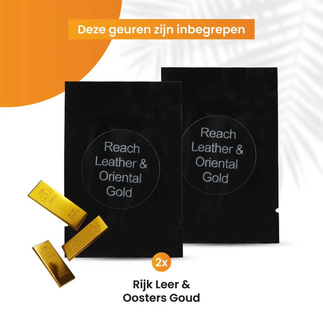 R2B Autoparfum Navulling Rijk Leer & Oosters Goud - 2x10ml