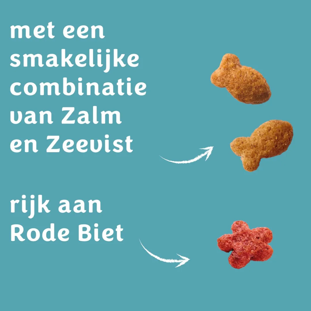 Felix DubbelZoLekker Zalm & Zeevis - 5x800g - afbeelding 6 van 6