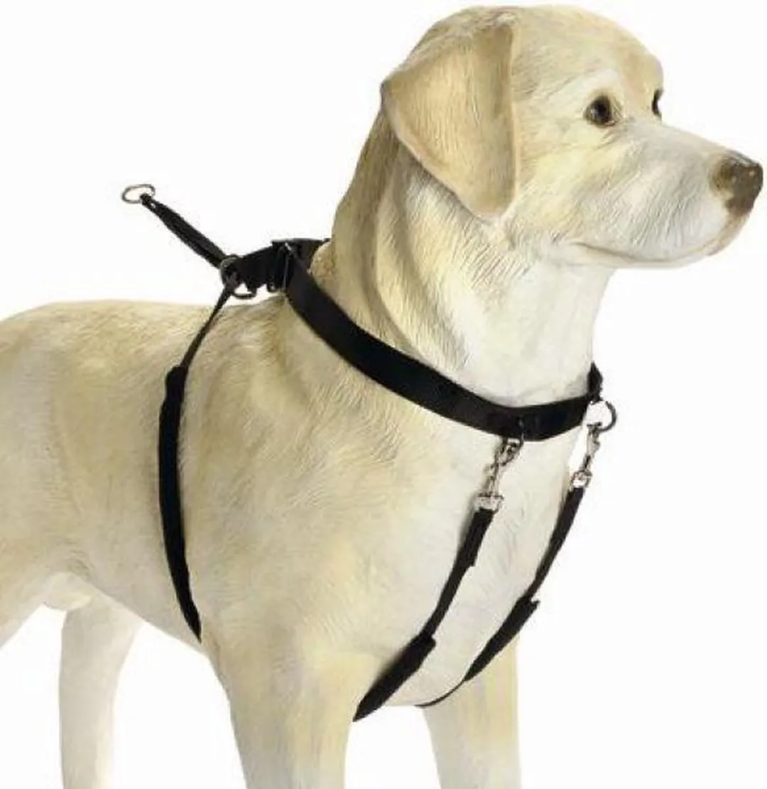Beeztees Gentle Walker Hondentuig