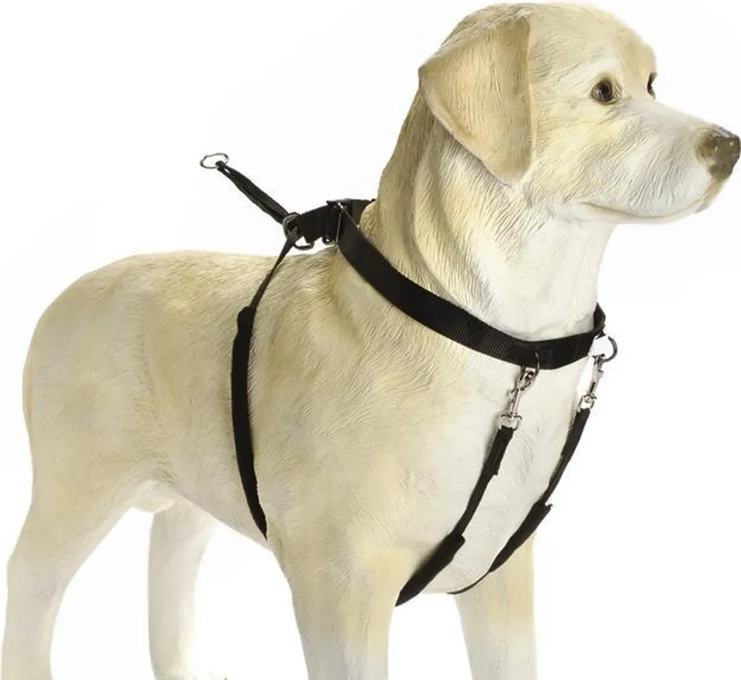 Beeztees Gentle Walker Hondentuig - L