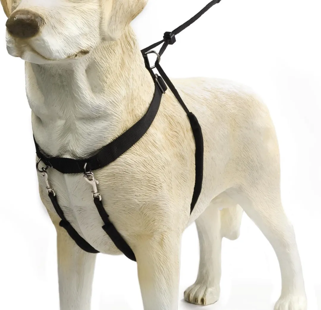 Beeztees Gentle Walker Hondentuig - L