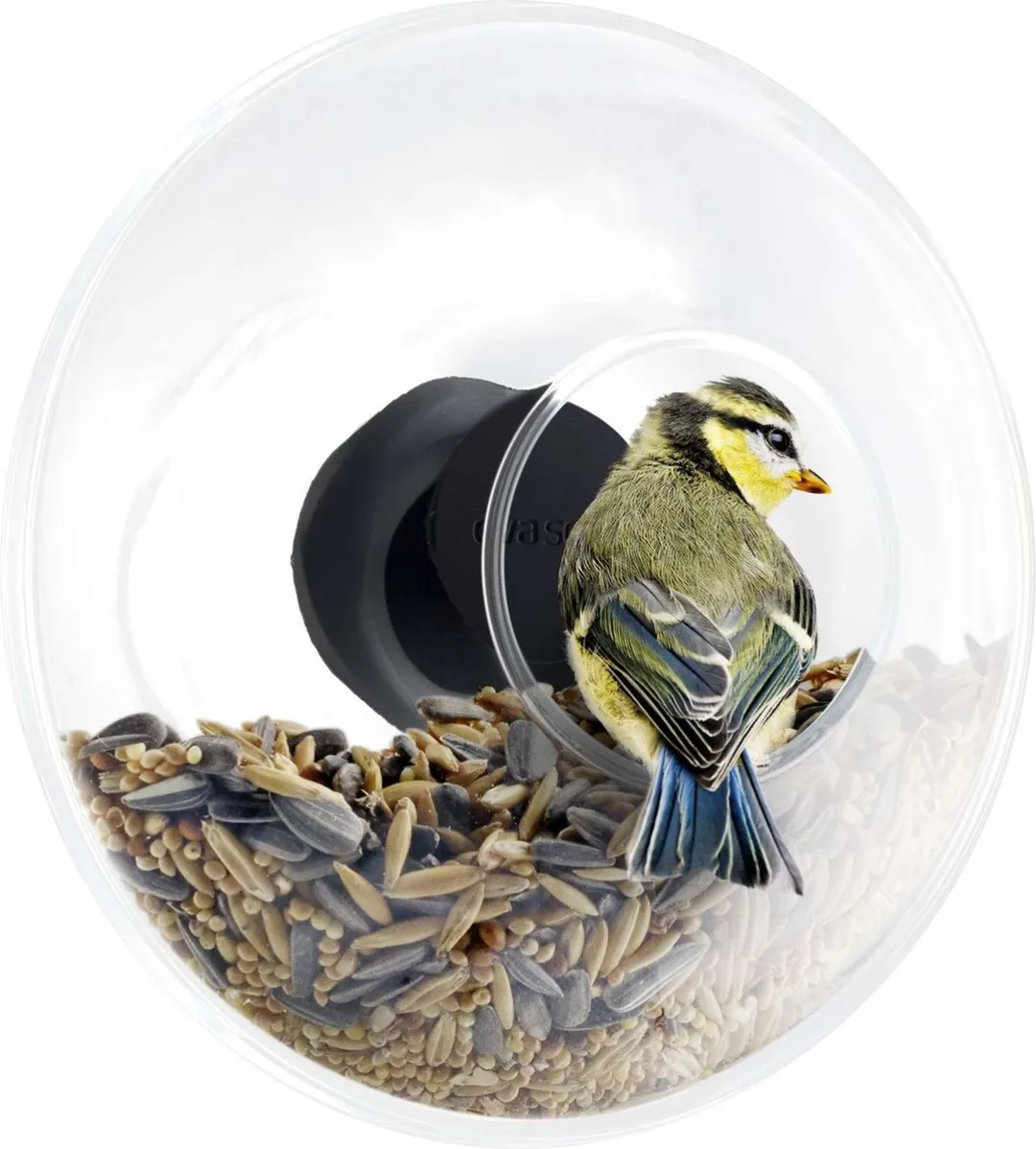 Eva Solo Vogel Voederbol Raam Ø14,3cm - Transparant