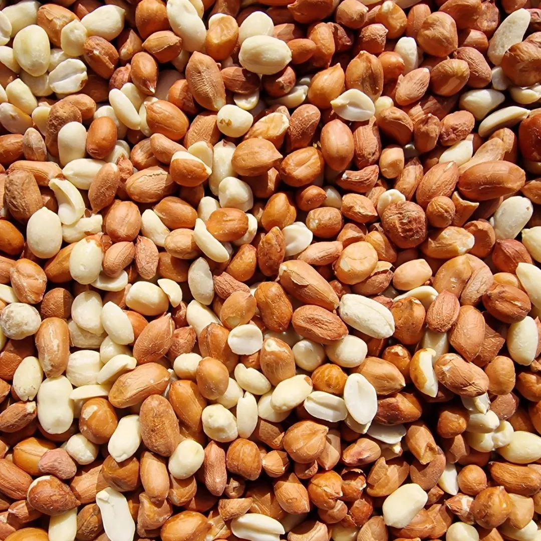 Topdiervoeding Tuinvogelvoer Gepelde Pinda's 5KG