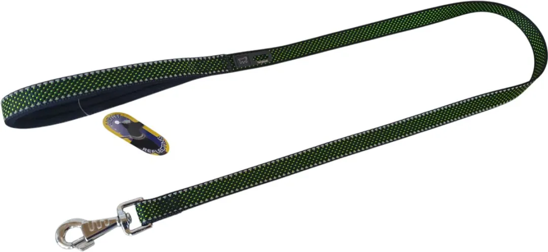 Ferplast Daytona Deluxe Hondenlijn M - 2cm x 120cm Groen