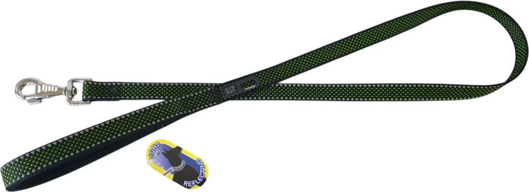 Ferplast Daytona Deluxe Hondenlijn M - 2cm x 120cm Groen