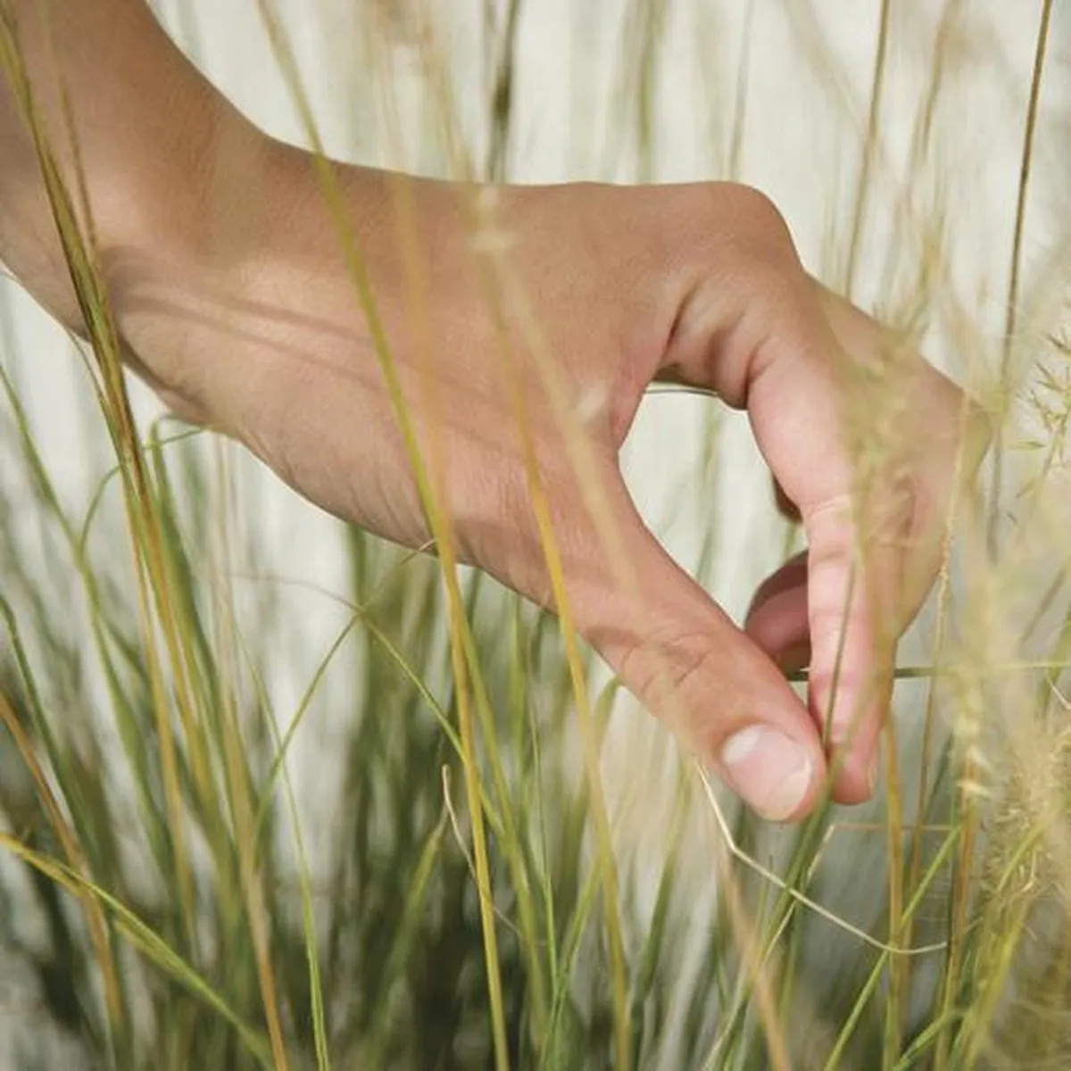 Philips Ledino Sole - Grondspot - LED - RVS - 7.5W