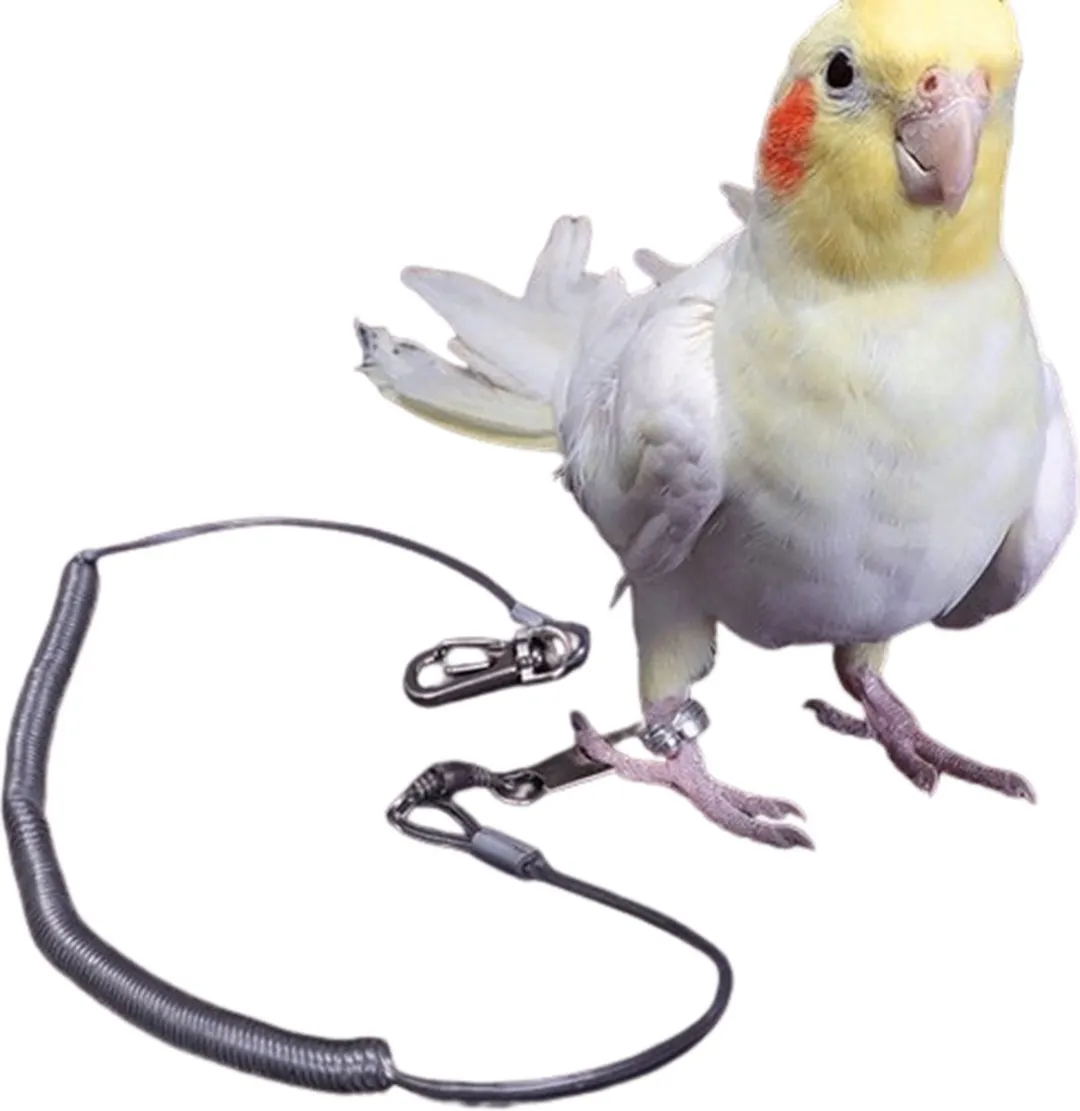 RedParrot Anti-vlieg Vogelkoord 3m