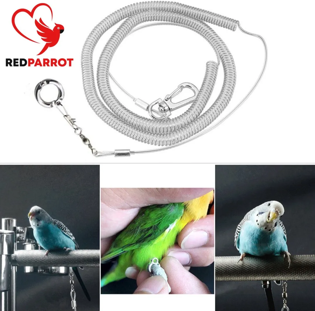RedParrot Anti-vlieg Vogelkoord 3m - Zilver