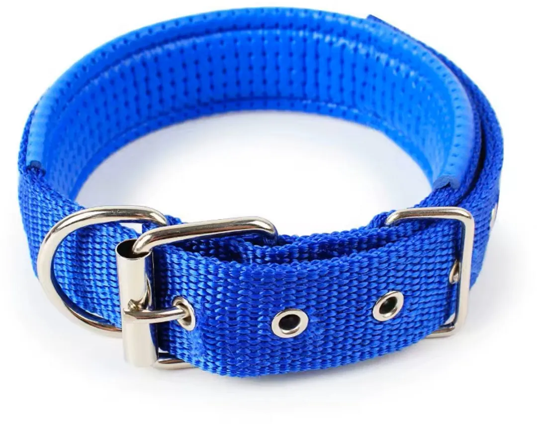 Dierboetiek Verstelbare Nylon Hondenhalsband - Blauw - XL