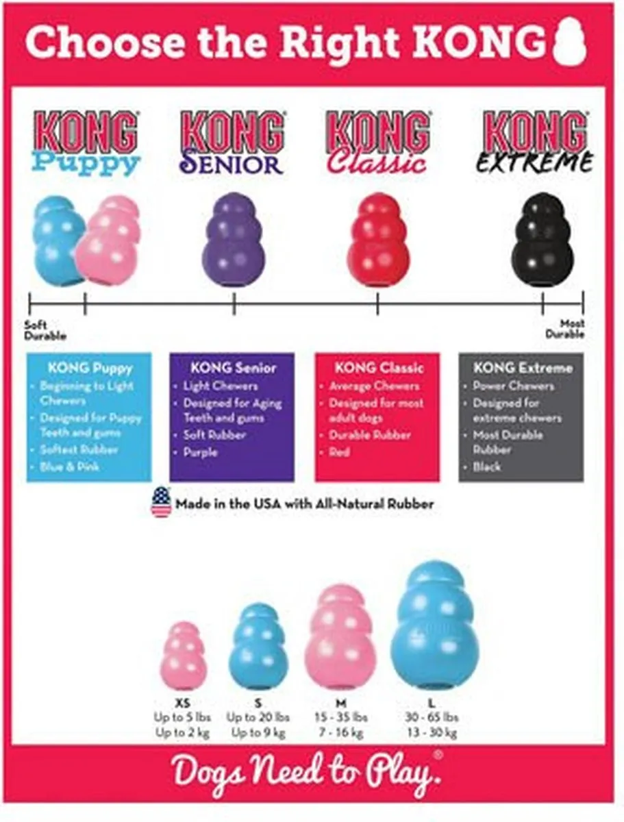 KONG Puppy - Blauw L