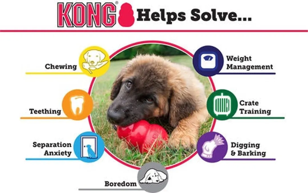 KONG Puppy