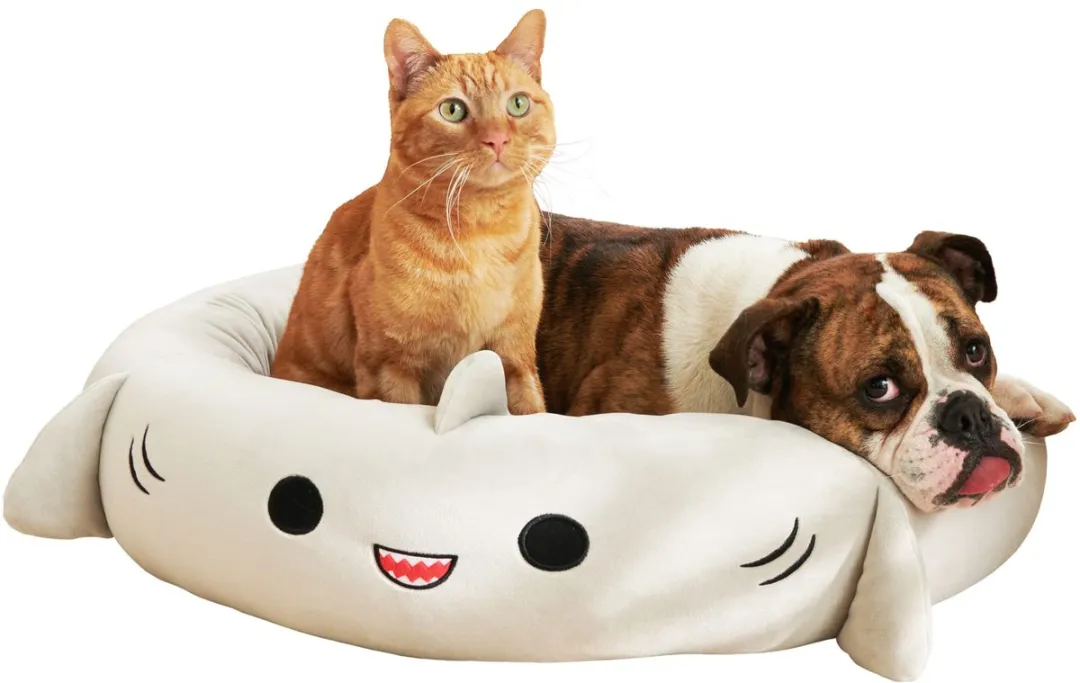 Squishmallows Gordon Shark Huisdierbed 76cm