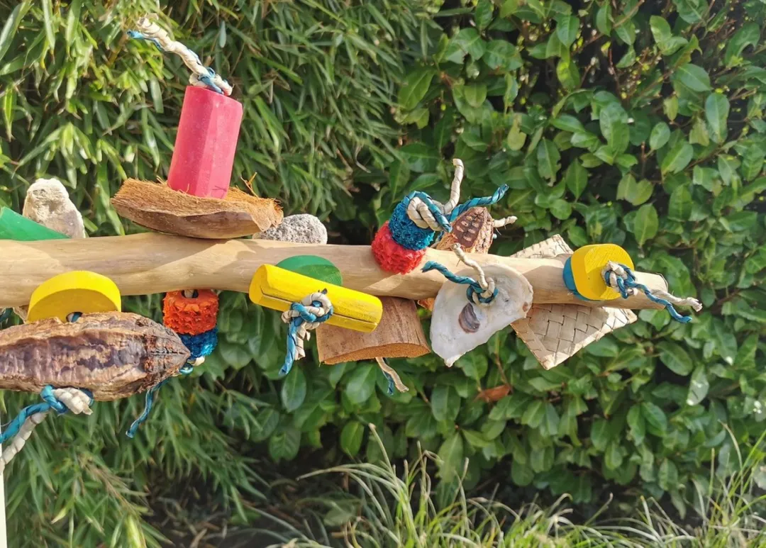 SINGLE PERCH WITH TOY - M - Java zitstok voor middel grote papegaaien