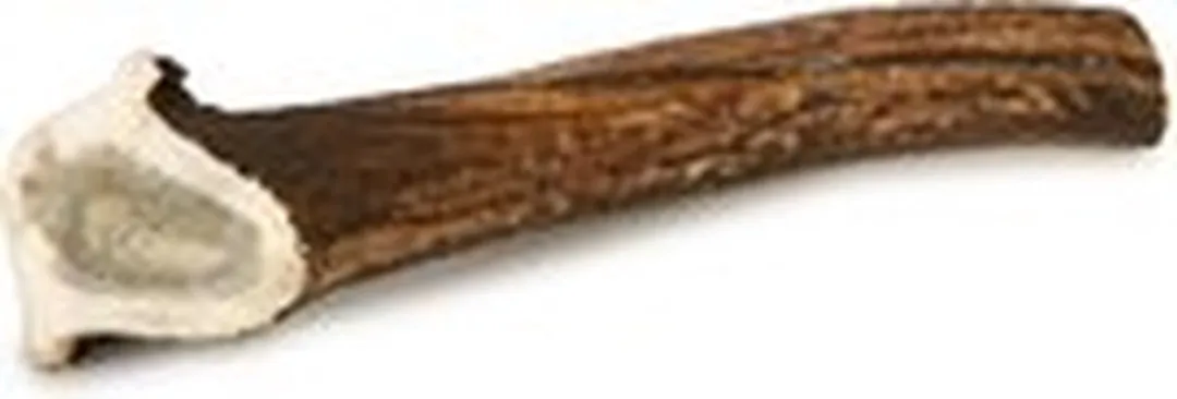 Topdiervoeding Hertengewei XXL Kauwbot 360-400g