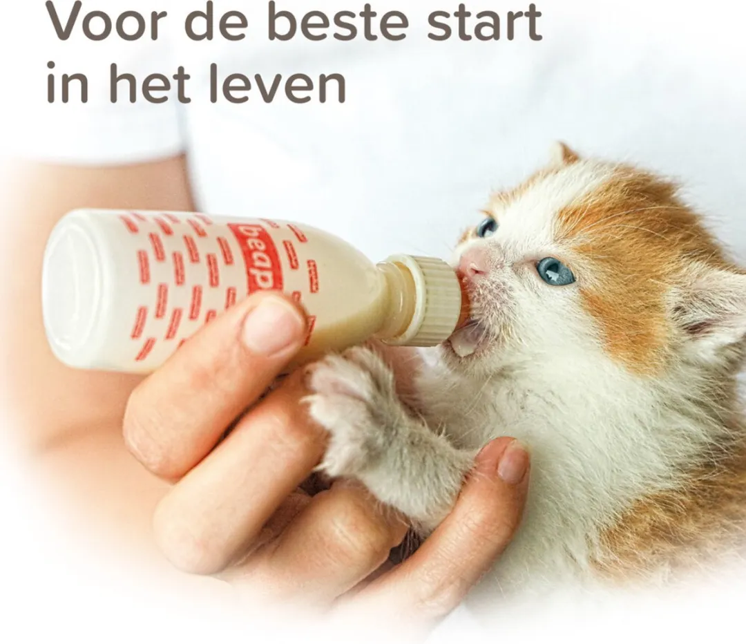 Beaphar Lactol Melk Kitten 250g - 3 Stuks