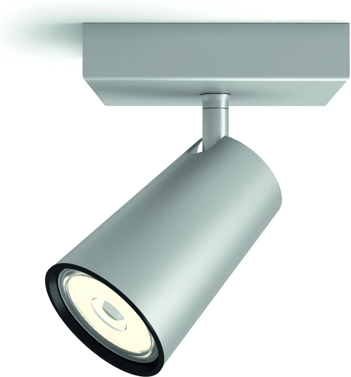 Philips Paisley Opbouwspot - Aluminium