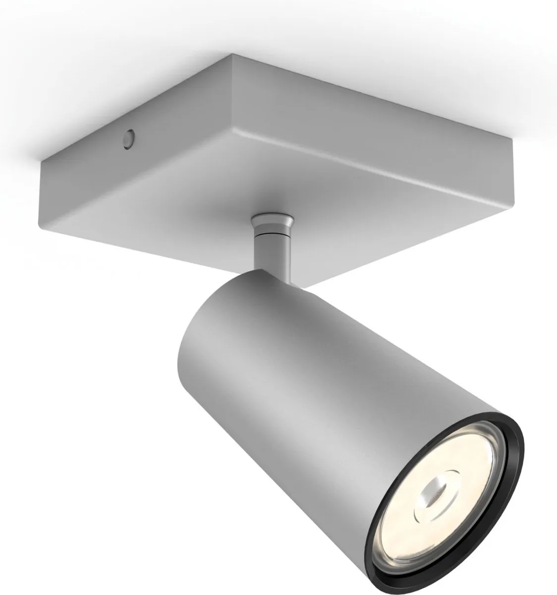 Philips Paisley Opbouwspot - Aluminium