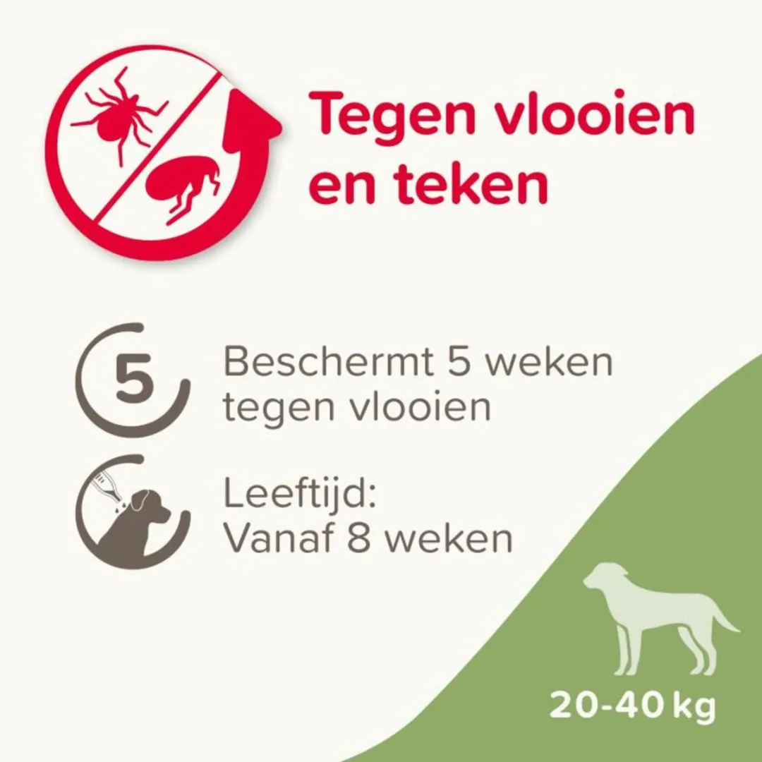 Beaphar Fiprotec Hond 20-40kg Anti Teken & Vlooien - 2x4 Stuks
