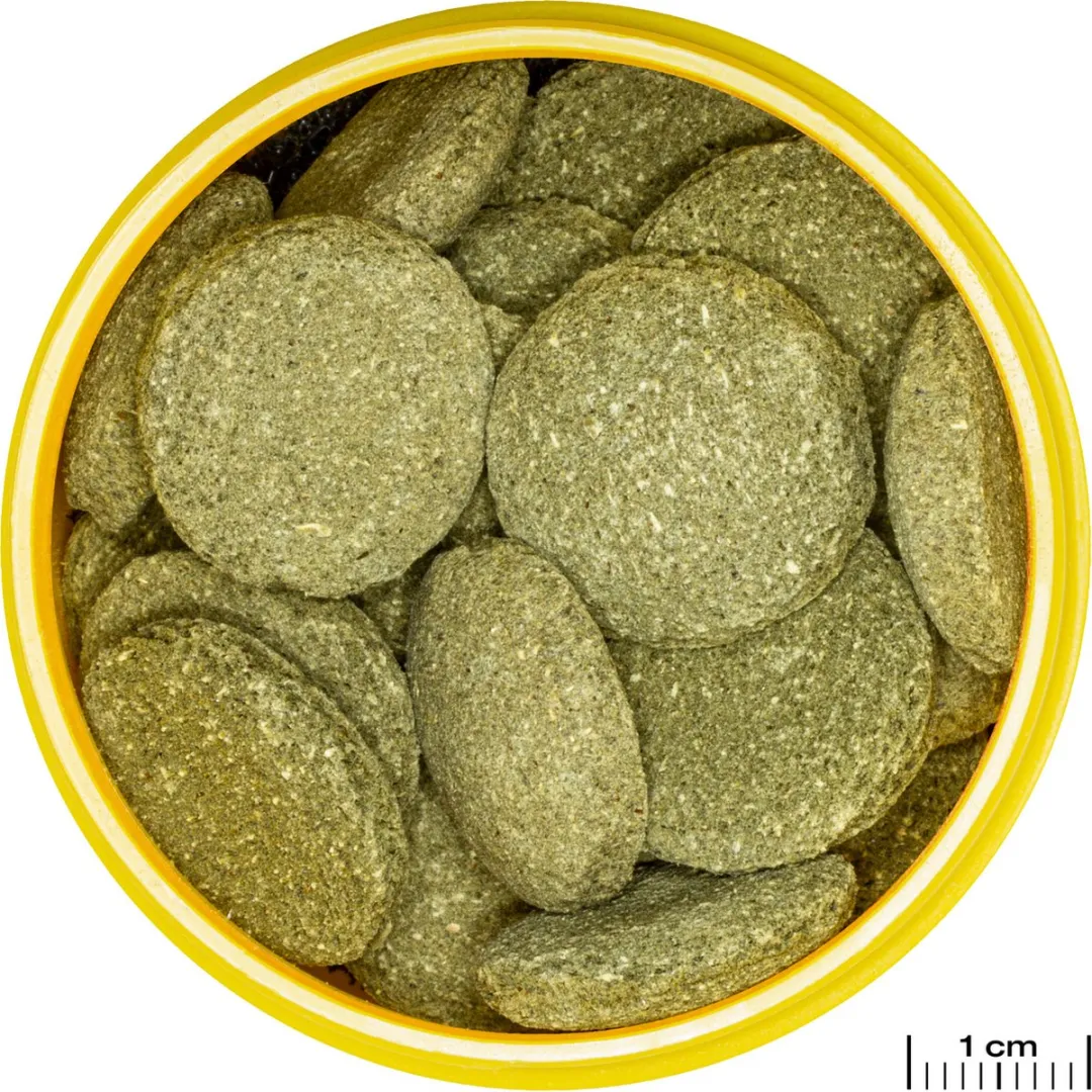 JBL Pronovo Pleco Wafer XL - Pleco Tabs 161ml