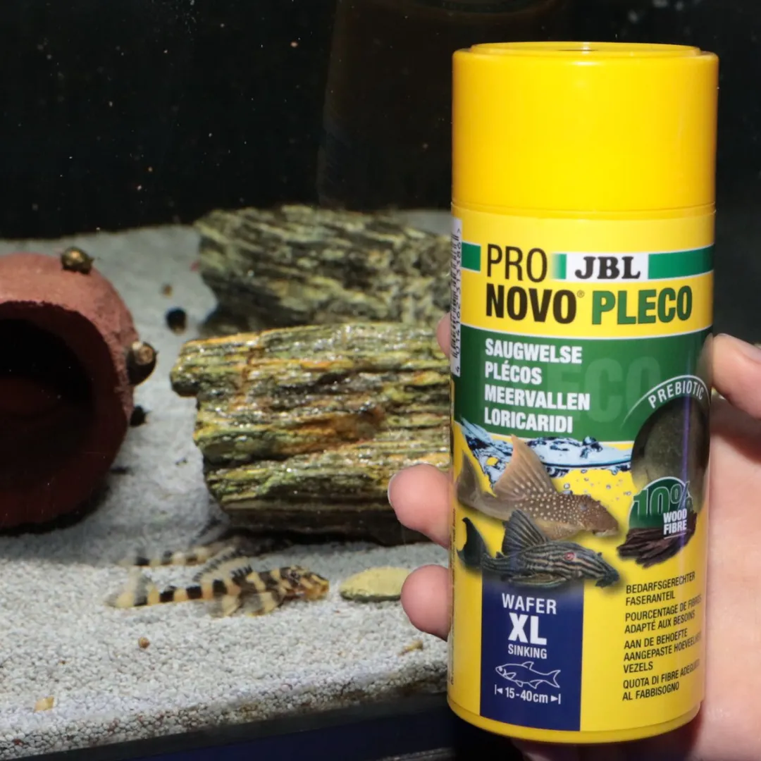 JBL Pronovo Pleco Wafer XL - Pleco Tabs 161ml - afbeelding 6 van 6