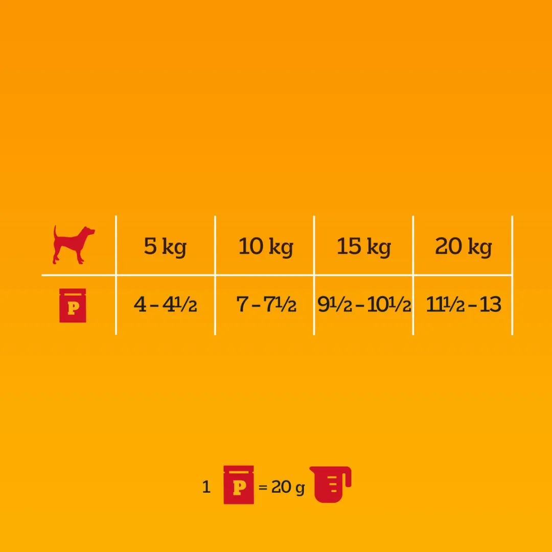 Pedigree Wybór Smaków Serie - Hondenvoer in Gelei - 40x100g - Voor Volwassen Honden