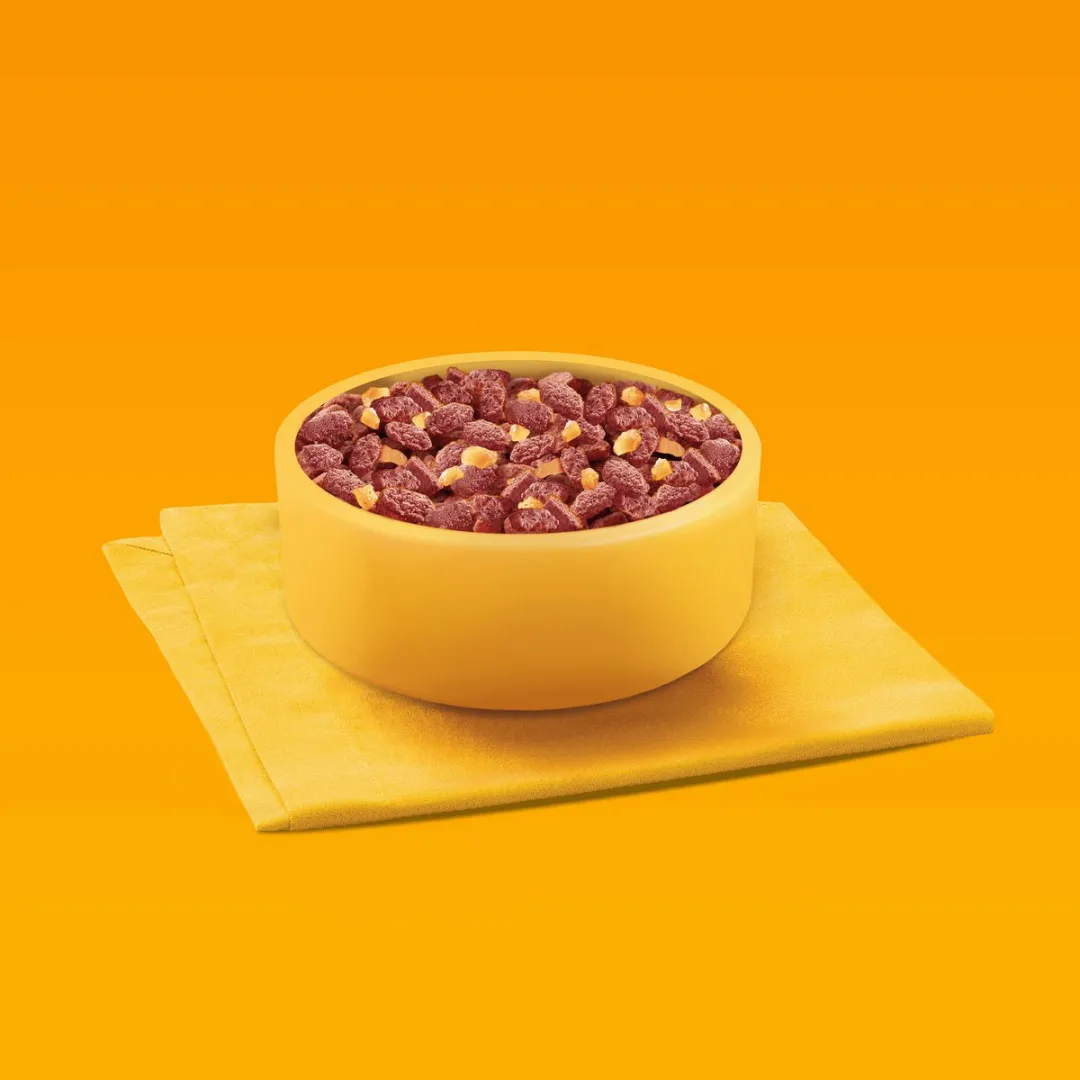 Pedigree Wybór Smaków Serie - Hondenvoer in Gelei - 40x100g - Voor Volwassen Honden