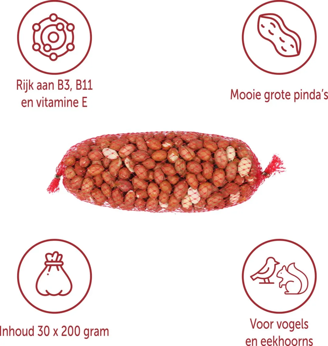 Topdiervoeding.nl Pindanetjes 60x200g - 12kg - Gepeld & Ongebrand